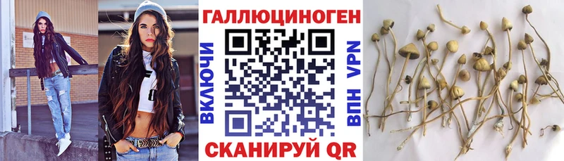 закладка  omg как войти  Псилоцибиновые грибы Psilocybine cubensis  Демидов 